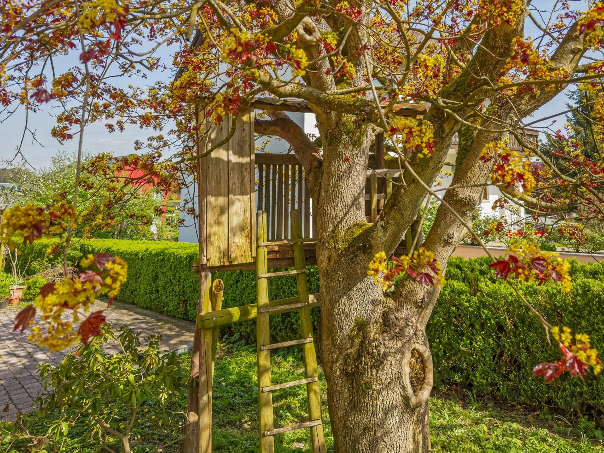 Obst- Ferienhof Ragg Immenstaad am Bodensee Exteriér fotografie