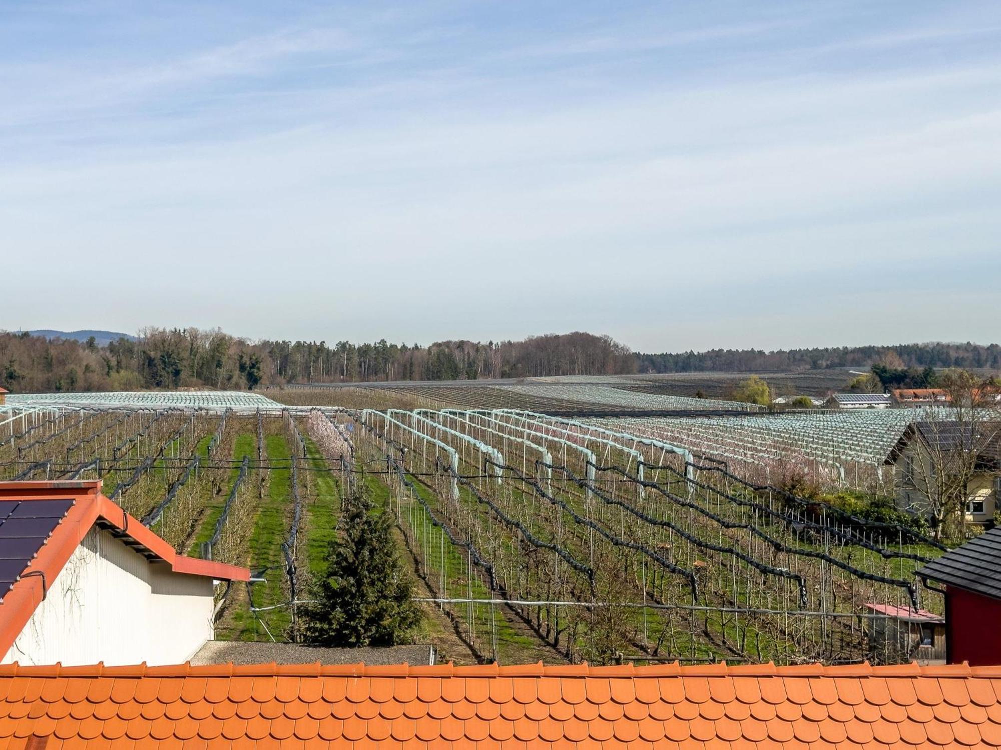 Obst- Ferienhof Ragg Immenstaad am Bodensee Exteriér fotografie